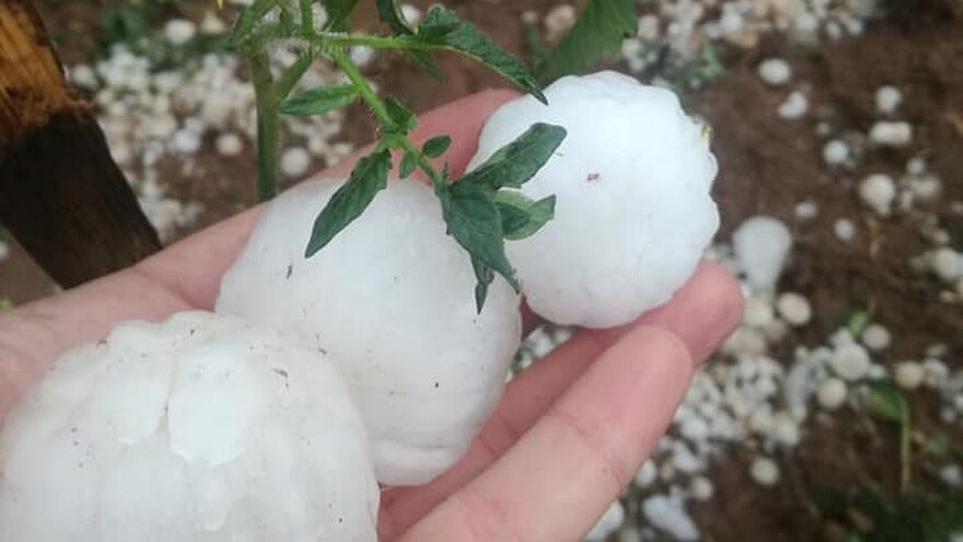 Grad veličine teniske loptice nanio ogromne štete visočkim poljoprivrednicima