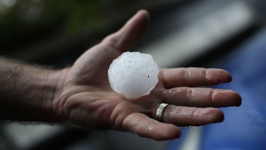 Šumadija: Katastrofa u vinogradima - šteta i do 100%