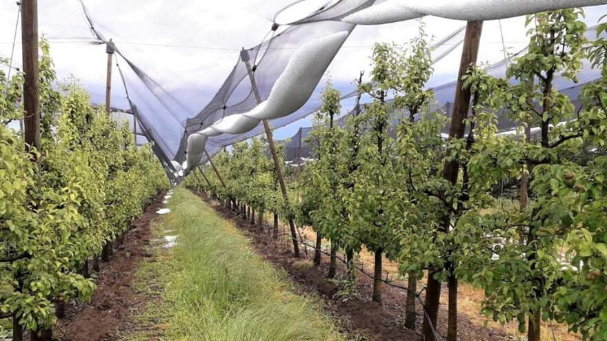 Grad naneo 15.000 evra štete u Erdeviku?