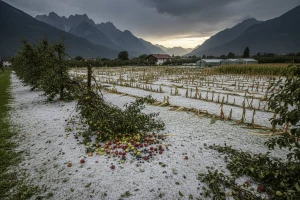 Grad zabeleo Austriju i Sloveniju
