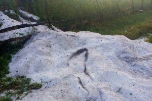 Zbrajaju se štete nakon grada na Sokocu - stradali usjevi na 2.000 dunuma