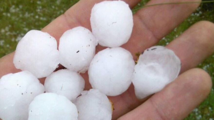 Mraz načeo, grad uništio sav rod voća i povrća!