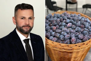 Direktor TZ Gradačac, Amir Pašalić: Svaki izlagač na Sajmu šljive nam je jednako važan