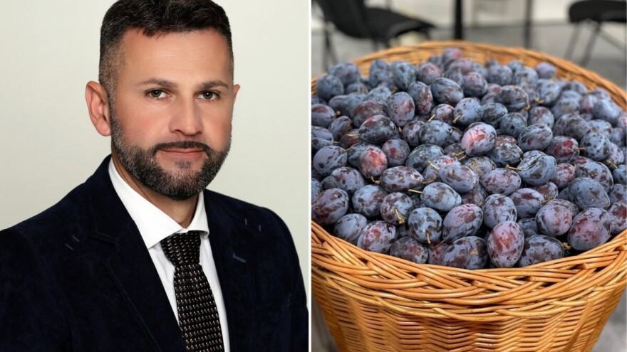 Direktor TZ Gradačac, Amir Pašalić: Svaki izlagač na Sajmu šljive nam je jednako važan