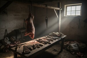 Građani prijavljuju ilegalne klaonice