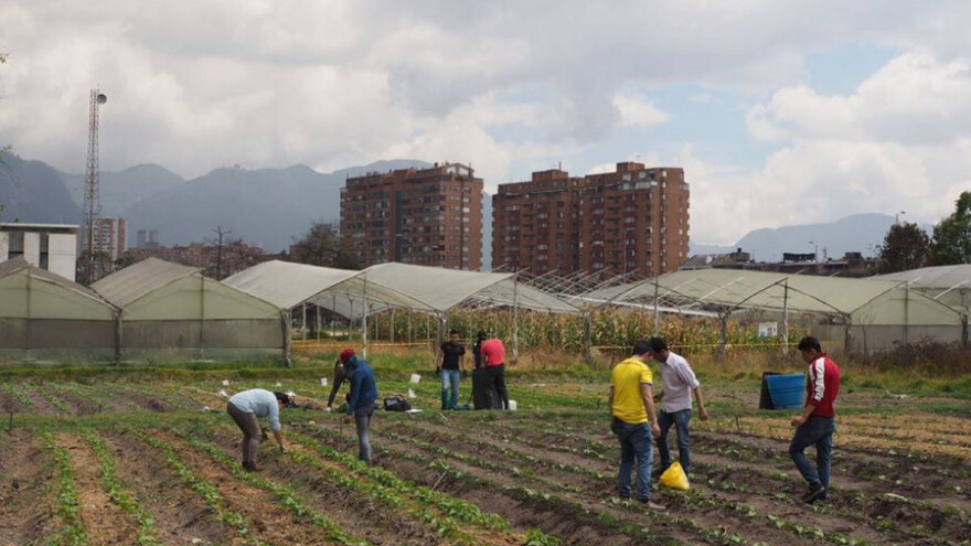 Gradske bašte - rešenje za napuštene prostore