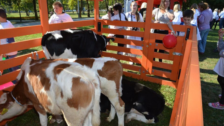 Zanimljiva Gradska farma ove subote u Osijeku
