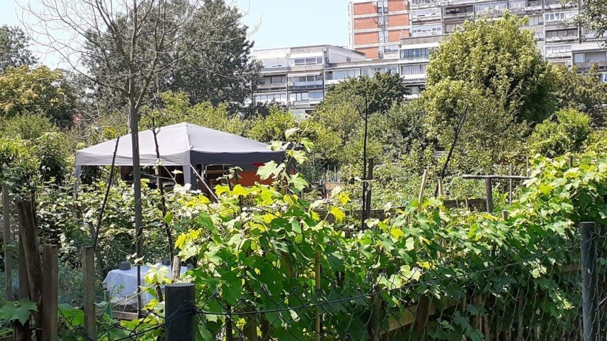 Gradska poljoprivreda - mit ili stvarnost?