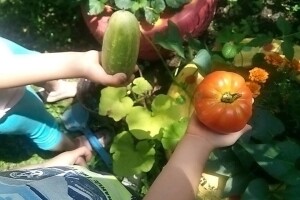 Uključite se u edukativni projekat Banjalučke gradske bašte i savladajte prirodne vještine