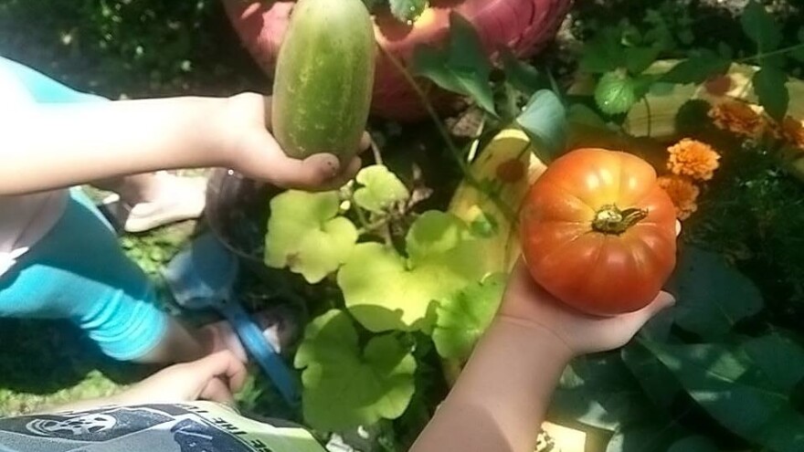 Uključite se u edukativni projekat Banjalučke gradske bašte i savladajte prirodne vještine