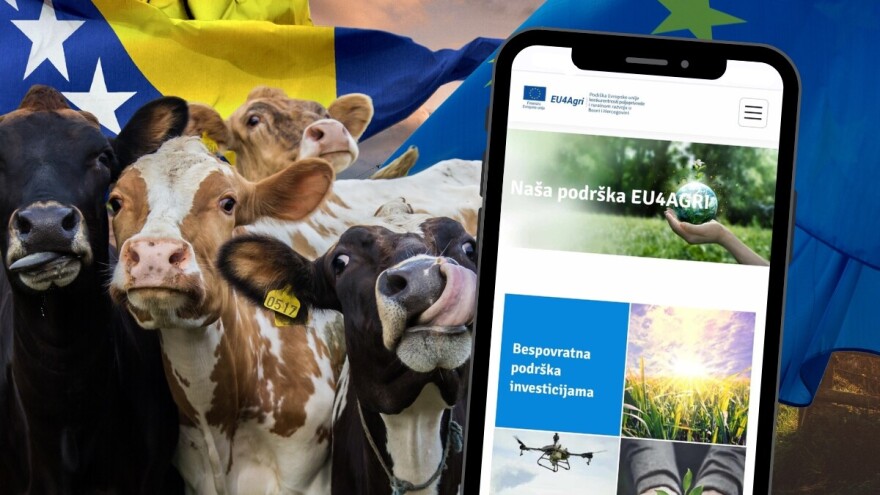 Evropska sredstva "da", ali ne na ovaj način, kažu bh. farmeri: "Ko je ovdje blesav?"