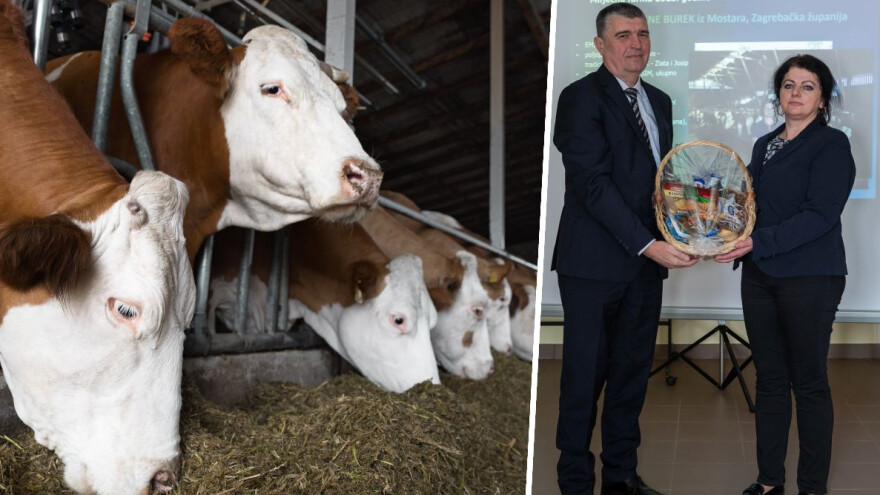 OPG Emina Burek najbolji je proizvođač mlijeka 2023. godine