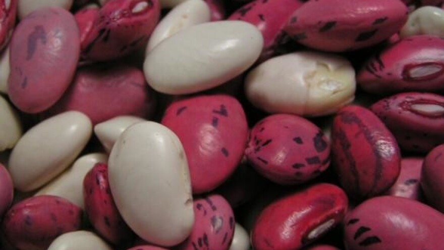 Nema više hrvatskog graha