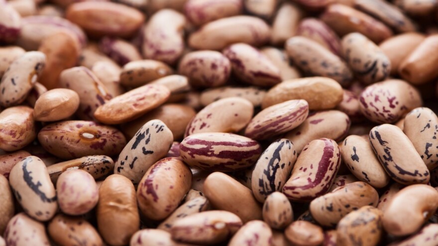 Urod ove godine podbacio: Kilogram graha dvostruko skuplji od prasetine