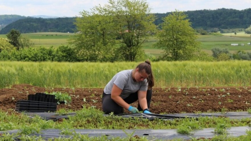 Za samo tri godine pokrili trećinu potreba graha