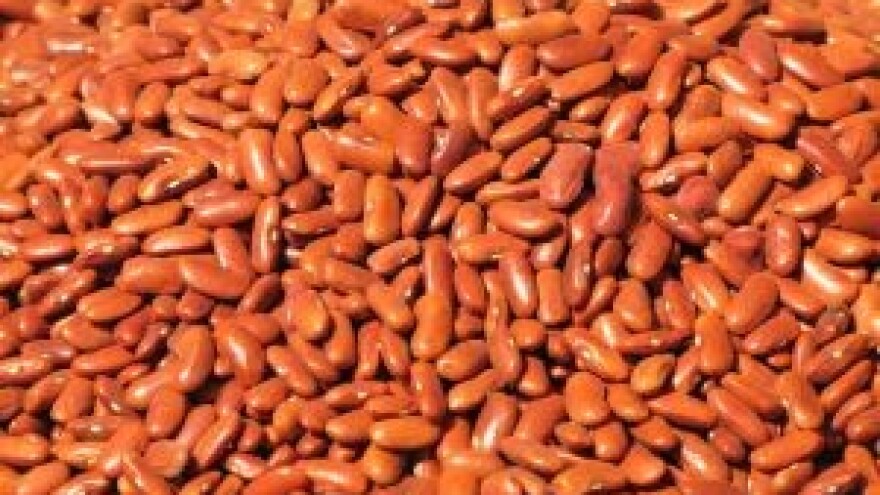 Gnojidbeni pokus na grahu