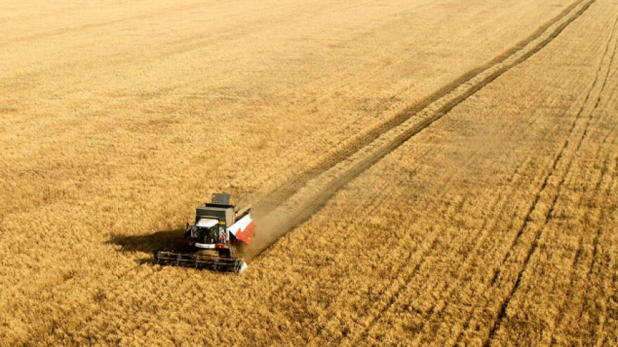 Rusija očekuje rekordnu žetvu žitarica
