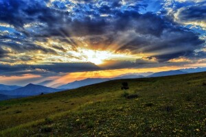 300.000 KM i za projekte iz oblasti poljoprivrede proizvodnje i ruralnog razvoja