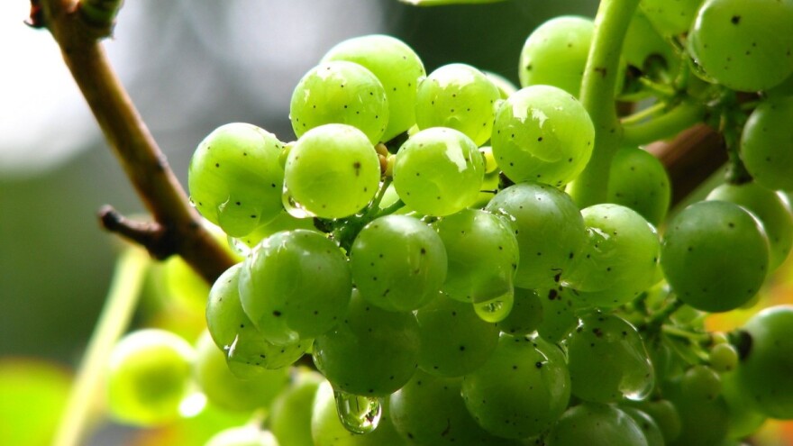 Nestabilno vrijeme nastavlja se i tijekom vikenda