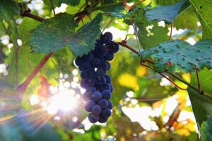 Zbog manje vrućine lakše će se obavljati poslovi na otvorenom