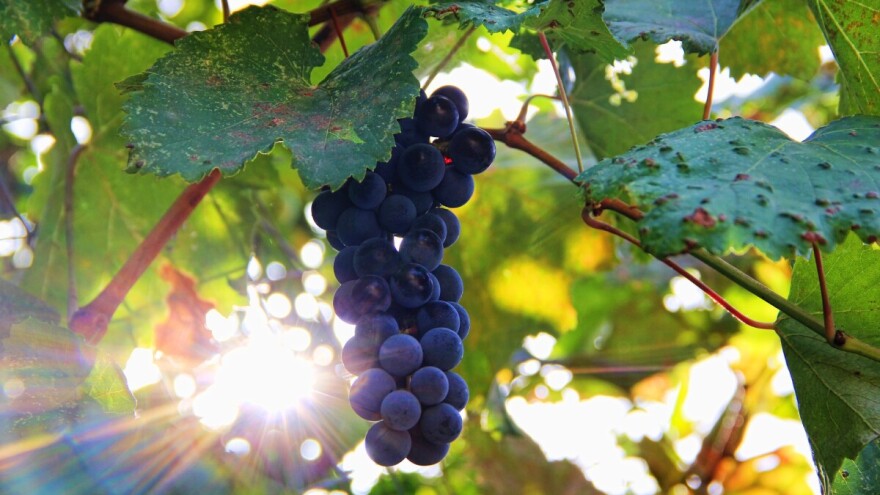 Zbog manje vrućine lakše će se obavljati poslovi na otvorenom