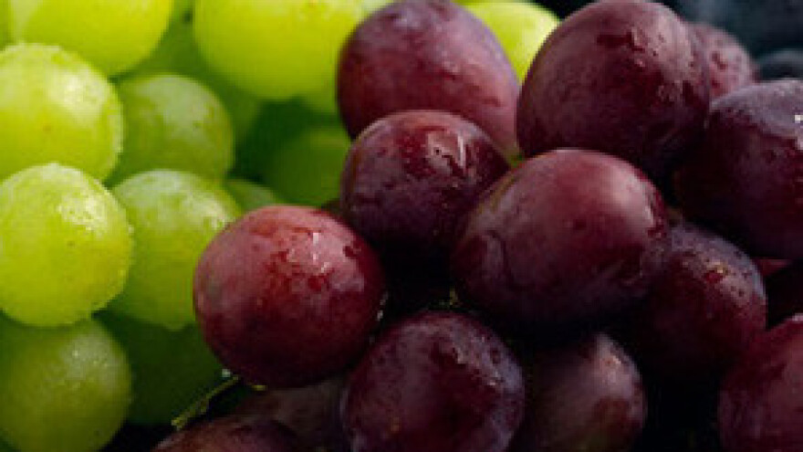 2. tradicionalno okupljanje vinara Hrvatske