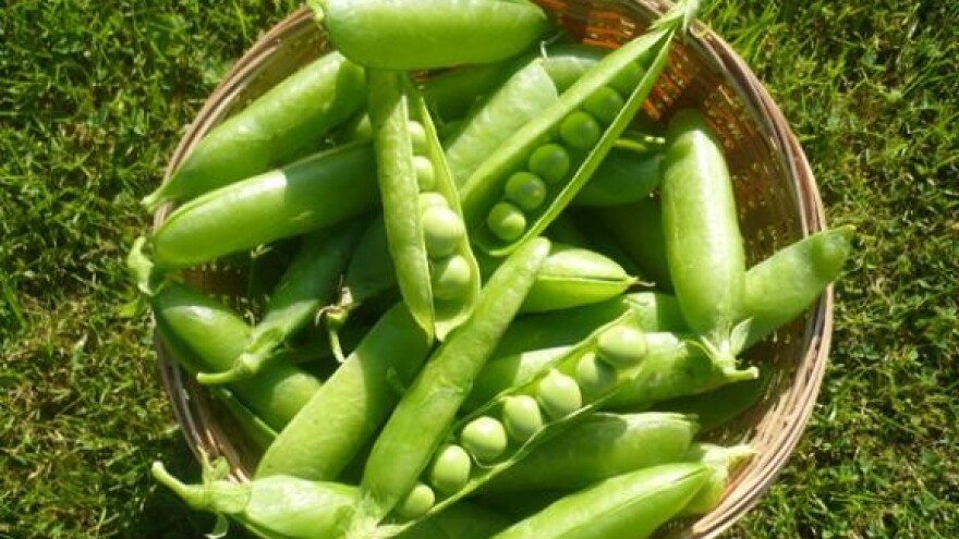 Otkrivene nepravilnosti kod ekoproizvođača