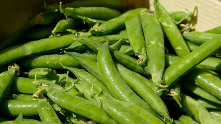 Zimska bašta na otvorenom