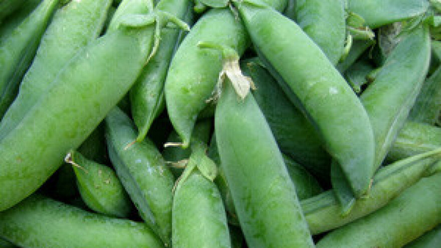 Zbog suše cijene hrane rastu iz dana u dan