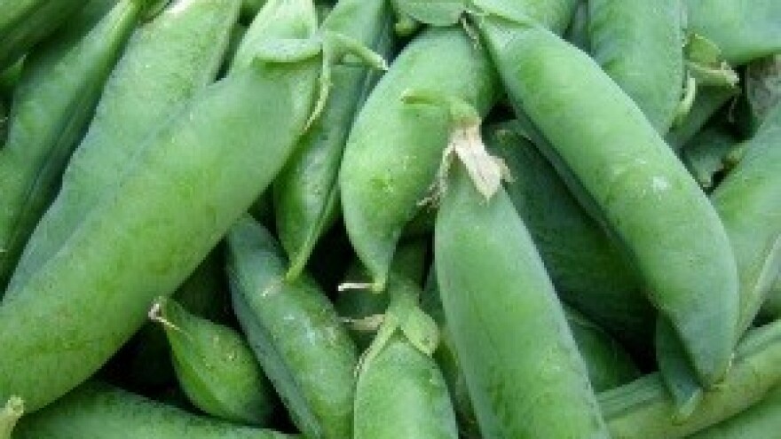 Mali poljoprivrednici, obratite pažnju na projekt ESSEDRA