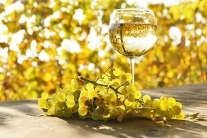 Festival graševine Vinota 2014. – Kutjevo
