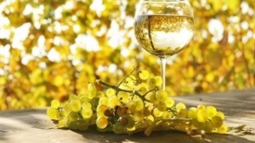 Festival graševine Vinota 2014. – Kutjevo