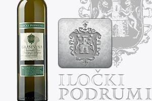 Iločka Graševina viteško vino godine
