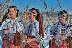 Tradicionalno druženje novinara s Graševinom