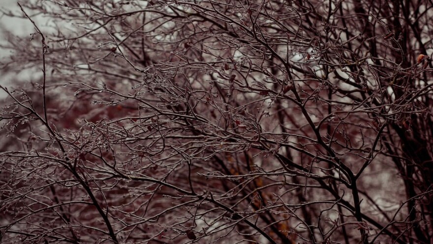 Januarska kiša sve usjeve šiša