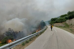 Požar kod Grebaštice pod nadzorom - opožareno 600 ha