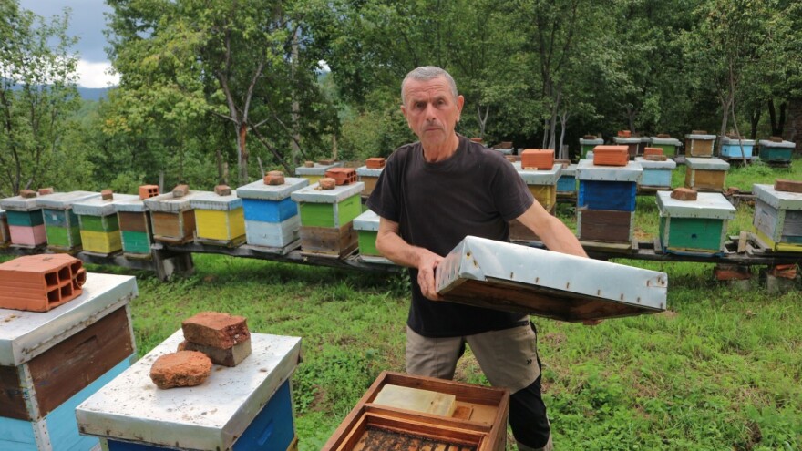 Izgubili stado ovaca, medvjed im uništio pčelinjak, ali ne odustaju od poljoprivrede