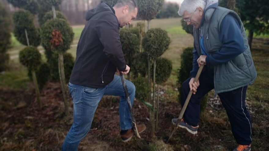 Goran Lazić: Hortikultura ima perspektivu, posla ima - samo treba raditi