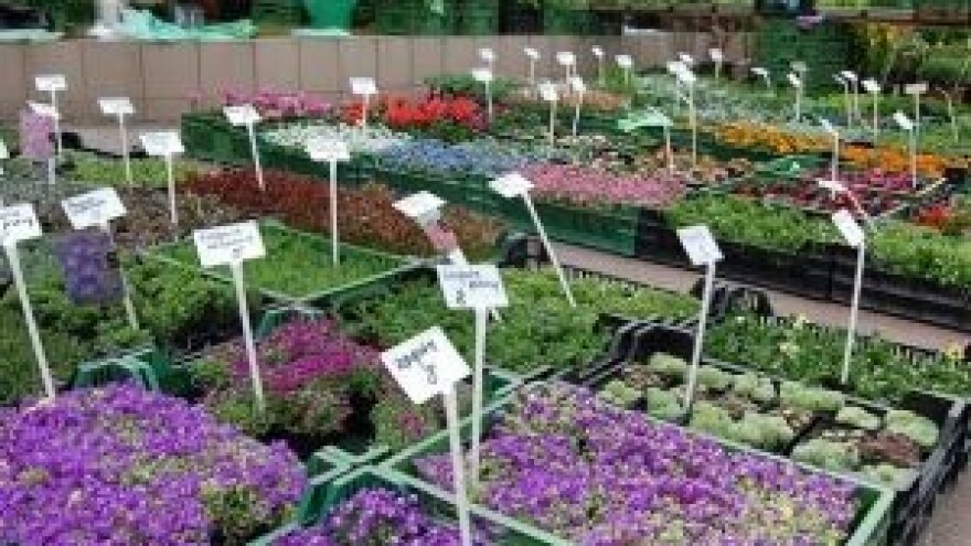 Zeleni dizajn na sajmu Miasto Ogród 2014.