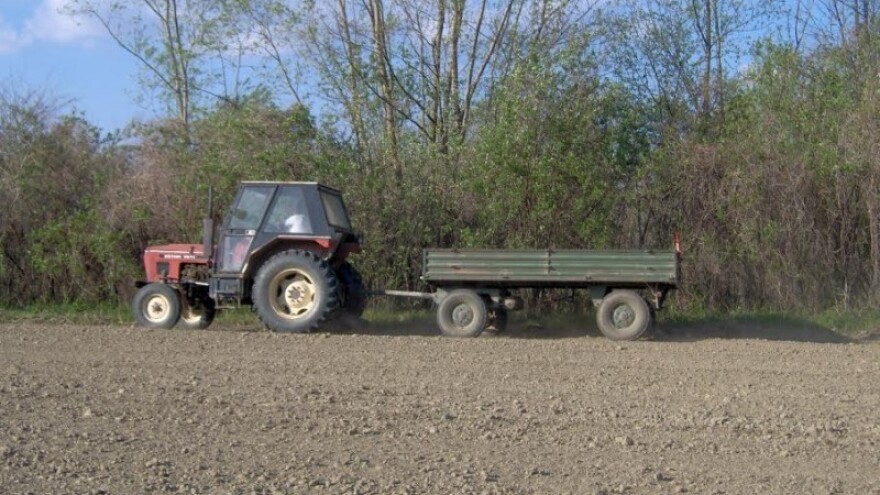 Greening iliti kakva korist od obične bare?