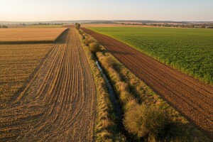 Greening iliti kakva korist od obične bare?
