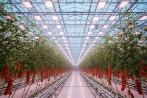 GreenTech 2014. – vodeći hortikulturalni sajam