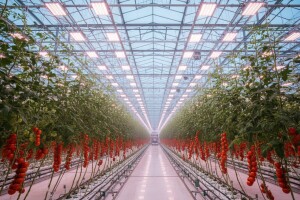 GreenTech 2014. – vodeći hortikulturalni sajam