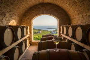 Grgić vina u bačvama od francuskog hrasta!