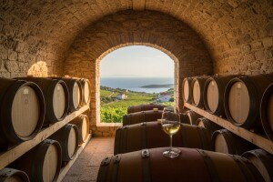 Grgić vina u bačvama od francuskog hrasta!