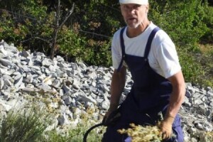 OPG Grgo Lučić nudi eterična ulja sa otoka Hvara