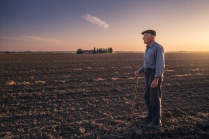 Grivičić: Agencija za poljoprivredno zemljište smeta samo špekulantima
