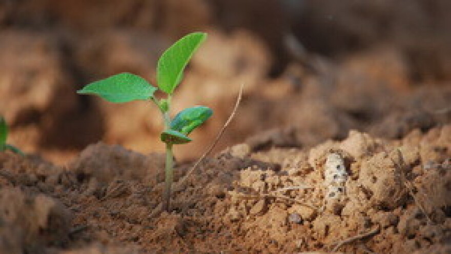 2. Forum za prehrambeni suverenitet