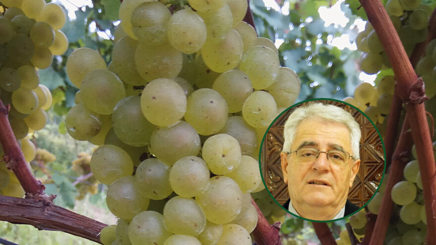 Loše vrijeme i u dane vikenda - ništa od berbe voća