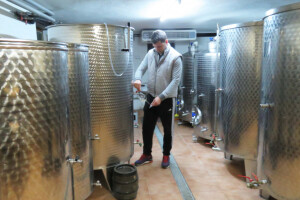 Kao dječak zavolio vinograd, danas ima vrhunska vina